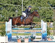 Paini Rosa Cocktail GioCav2013 S6 7680 : Campionati Italiani Giovani Cavalli, Cattolica, Paini Paolo, Rosa Cocktail, ph Stefano Secchi ©